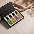 BELVIOR DISCOVERY SET