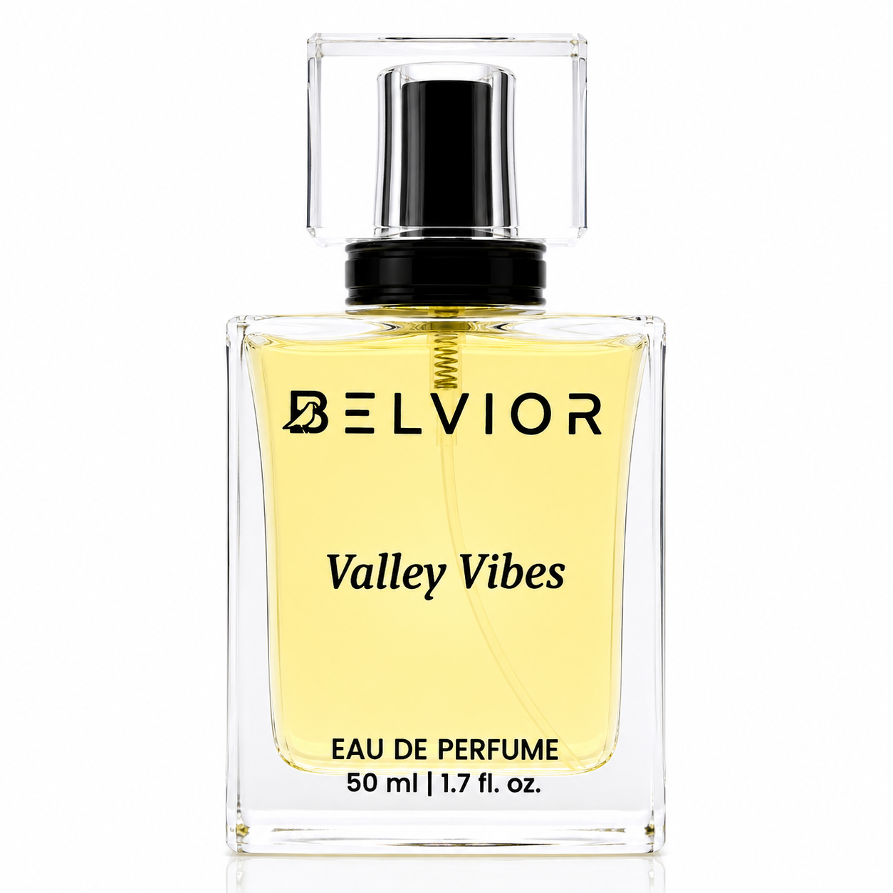 VALLEY VIBES