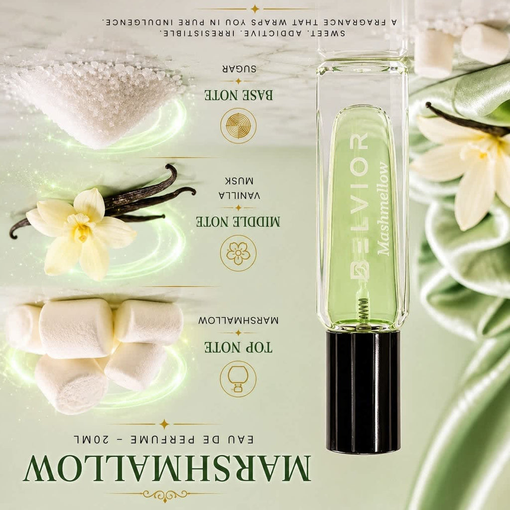 BELVIOR DISCOVERY SET