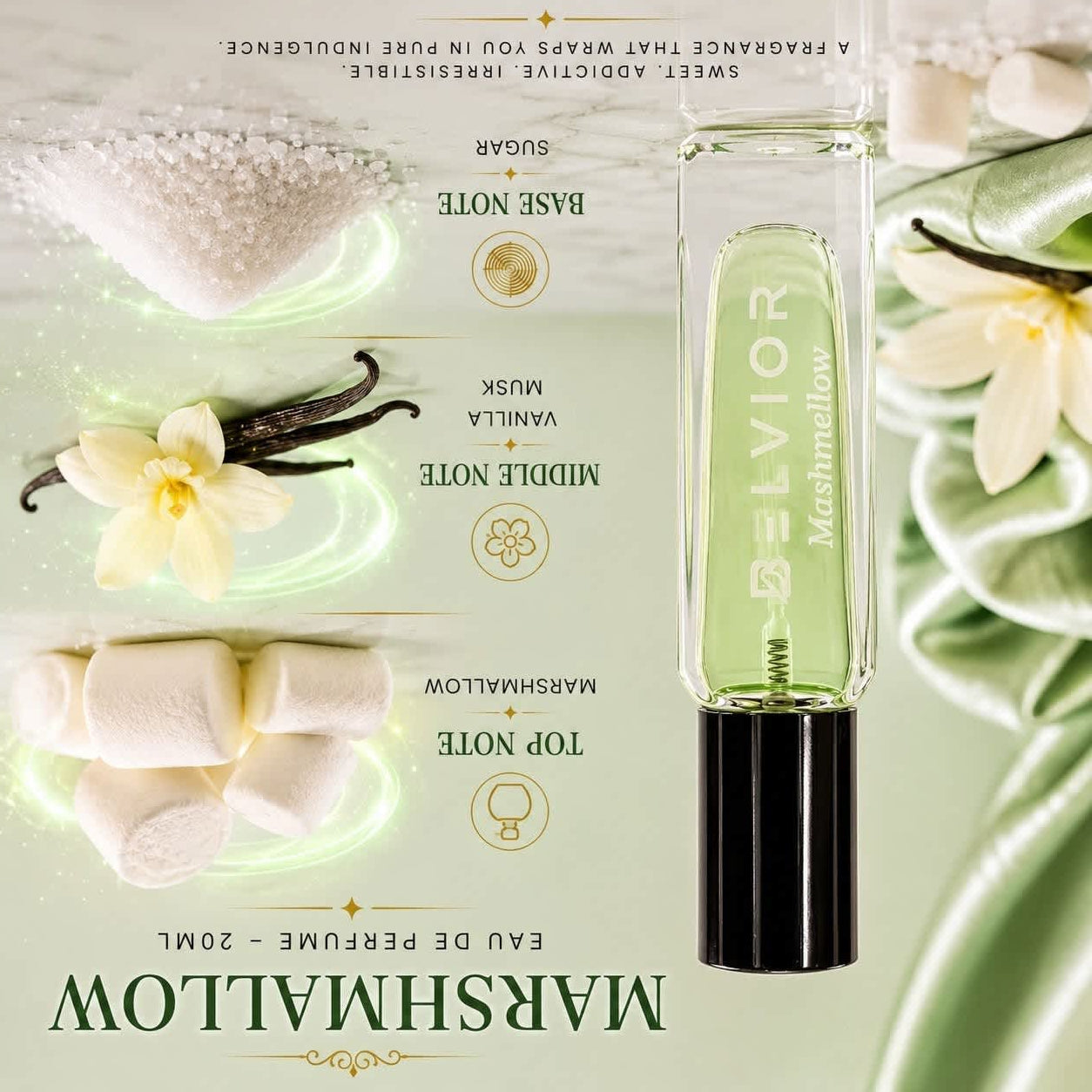 BELVIOR DISCOVERY SET